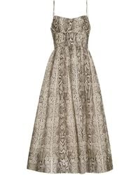 Cara Cara - Alba Snake-Print Midi Dress - Lyst
