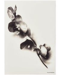 Alexander McQueen - Écharpe en cachemire à fleurs - Lyst