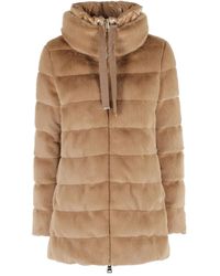 Herno - Gesteppte Jacke Mit Stehkragen - Lyst