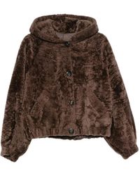 Blancha - Hooded Button-Up Jacket - Lyst
