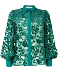 alice and olivia green velvet pants