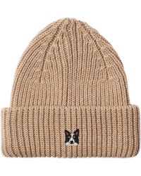 PELO FOUNDATION - Border Collie Beanie - Lyst