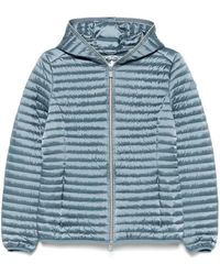Save The Duck - Alexa ジャケット - Lyst