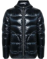 Herno - Donsjack Met Capuchon - Lyst