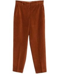 Circolo 1901 - Corduroy-Effect Tapered Trousers - Lyst