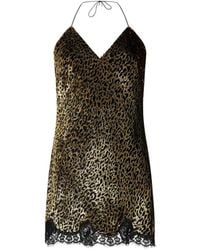 Roberto Cavalli - Leopard-Print Lace Slip Dress - Lyst