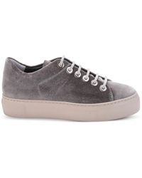 Agl Attilio Giusti Leombruni - Vananda Velvet Sneakers - Lyst