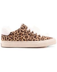 HIDE & JACK - Toby Leopard-Print Sneakers - Lyst