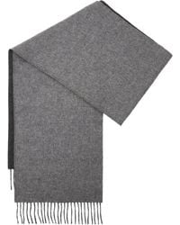 Loewe - Logo-patch Fringed Scarf - Lyst
