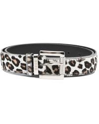 MSGM - Ceinture À Imprimé Léopard - Lyst