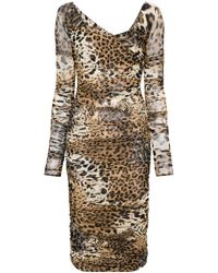 Roberto Cavalli - Midi-Jurk Met Luipaardprint En Mesh - Lyst