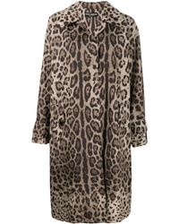 Dolce & Gabbana Mantel Met Luipaardprint - Bruin
