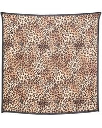 Destin - Leopard-Print Scarf - Lyst