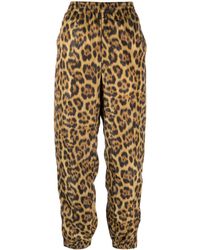Alexander Wang - Leopard-print Tapered-leg Trousers - Lyst