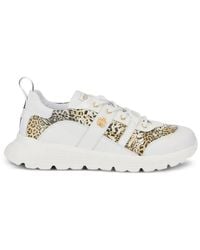 Roberto Cavalli - Jaguar-Print Logo-Plaque Sneakers - Lyst