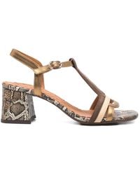 Chie Mihara - T-Strap Snakeskin Sandals - Lyst