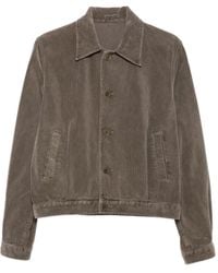 AURALEE - Klassische Cordjacke - Lyst