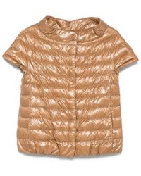 Herno - Glossy-Finish Short-Sleeved Puffer Jacket - Lyst