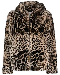 Yves Salomon - Leopard-Print Shearling Hooded Jacket - Lyst