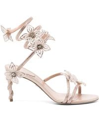 Rene Caovilla - Margot Sandalen Mit Blumigen Applikationen Und Strass - Lyst