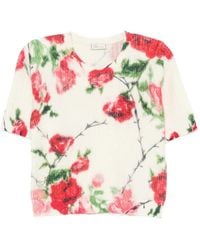 Blumarine - St. Rose Floral-Print Ribbed-Knit Sweater - Lyst