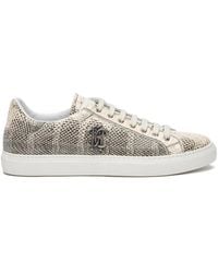 Roberto Cavalli - Snake-Effect Leather Sneakers - Lyst