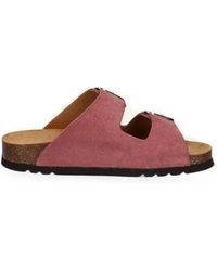 Scholl - Noelle Suede Buckle-Fastening Sandals - Lyst