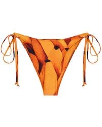 Donde Esteban - Bananas Bikinislip - Lyst