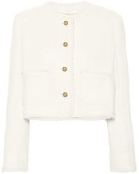 Miu Miu - Single-breasted Tweed Jacket - Lyst