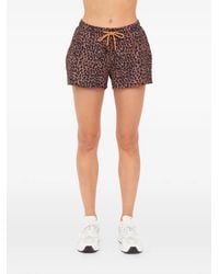 The Upside - Ludlow Billie Leopard-Print Shorts - Lyst