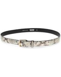 DSquared² - Gürtel Mit Python-Effekt - Lyst