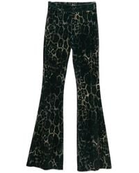 Just Cavalli - Leopard-Print Velvet-Effect Flared Trousers - Lyst