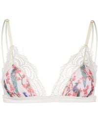 Dolci Follie - Peacock Print Triangle Bra - Lyst