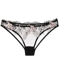 Gilda & Pearl - Jardin De La Lune Knicker - Lyst