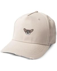 PELO FOUNDATION - Chihuahua キャップ - Lyst