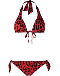 Dolce & Gabbana - Bikini mit Leoparden-Print - Lyst