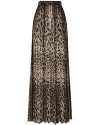 Dolce & Gabbana - Leopard-Print Chiffon Culottes - Lyst