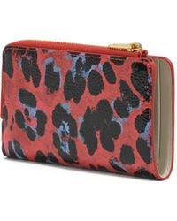 Bimba Y Lola - Leopard-Print Zip Wallet - Lyst