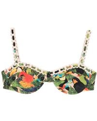 FARM Rio - Bird-Print Underwire Bikini Top - Lyst