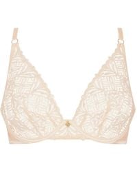 Aubade - Iconic Calypso Embroidered Triangle Bra - Lyst