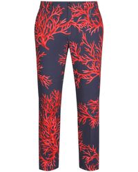 Dolce & Gabbana - Coral-print Cotton Trousers - Lyst