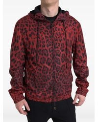 Dolce & Gabbana - Leopard-Print Hooded Zip-Up Jacket - Lyst