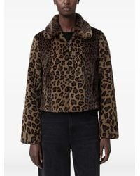AllSaints - Saye Leopard-Print Collared Jacket - Lyst