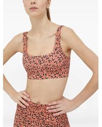 Billabong - Leopard-Print Sports Bra - Lyst