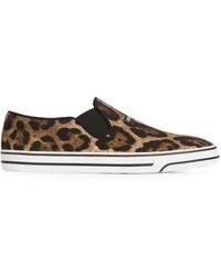 Dolce & Gabbana - Leo-Print Canvas Dg Sailing Sneakers - Lyst