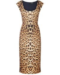 Roberto Cavalli - Jaguar-Print Sleeveless Dress - Lyst