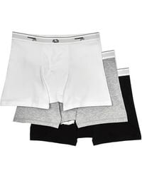 HOMMEGIRLS - X Fruit Of The Loom Logo-Waistband Boxer Briefs (Set-Of-Three) - Lyst
