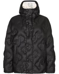 Dolce & Gabbana - Dg Logo Quilted Padded Coat - Lyst
