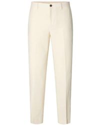SELECTED - Rafa Pleated Trousers - Lyst