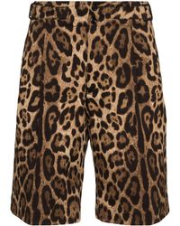 Dolce & Gabbana Leopard-print Bermuda Shorts - Brown